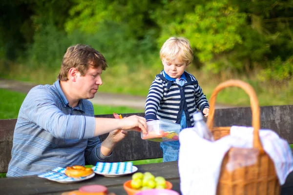 Young father and little toddler boy picnicking in nature, near forest and lake in summer. Cute child and man eating fresh healthy food. — Stock Photo, Image