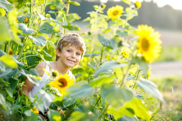 Adorable little blond kid boy on summer sunflower field outdoors — Stock Photo, Image