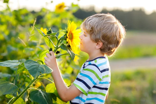 Roztomilý chlapeček blonďatý kluk v létě slunečnicová pole venku — Stock fotografie