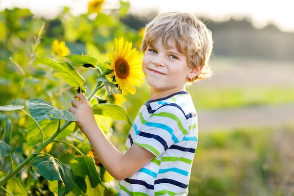 Imádnivaló kid szőke kisfiú nyári napraforgó mező szabadban — Stock Fotó