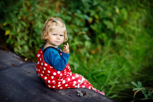 Roztomilý rozkošný batole dívka sedí na dřevěný most a házel kamínky do potoka. Funny dítě baví s venkovní hry v přírodě. — Stock fotografie