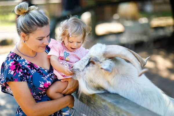 Adorable linda niña y madre joven alimentando cabras y ovejas en una granja de niños. Hermoso bebé acariciando animales en el zoológico. mujer e hija juntas —  Fotos de Stock