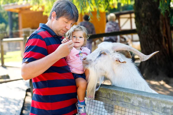 Adorável bonito menina criança e jovem pai alimentando cabras e ovelhas em uma fazenda de crianças. Bonito bebê criança animais de estimação no zoológico. homem e filha juntos — Fotografia de Stock