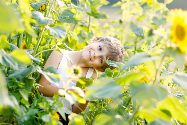 Schattig jongetje blond kind op zomer zonnebloem veld buitenshuis — Stockfoto