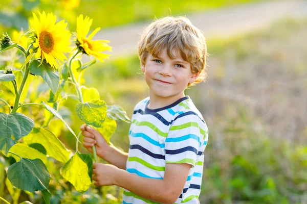 Очаровательный маленький блондин мальчик на летнем подсолнушном поле на открытом воздухе — стоковое фото