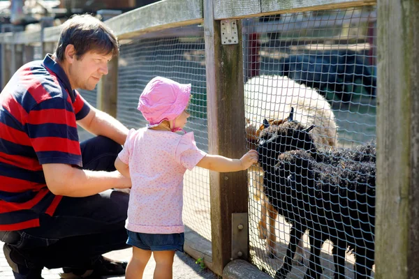 Adorable cute toddler girl and young father feeding little goats and sheeps on a kids farm. Beautiful baby child petting animals in the zoo. man and daughter together — Stock Photo, Image