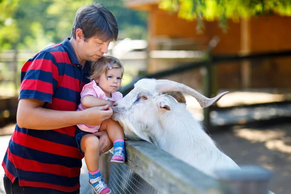 Śliczny maluch Ładna dziewczyna i młody ojciec karmienie małe kozy i owce w gospodarstwie dzieci. Piękne dziecko dziecko pieszczoty zwierząt w zoo. człowiek i córka razem — Zdjęcie stockowe