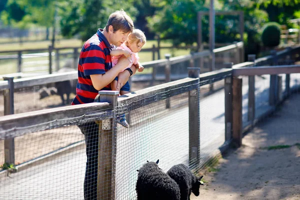 Schattig leuk peuter meisje en jonge vader voeding weinig geiten en schapen op de boerderij van de kinderen. Mooie baby kind kinderboerderij dieren in de dierentuin. man en dochter samen — Stockfoto