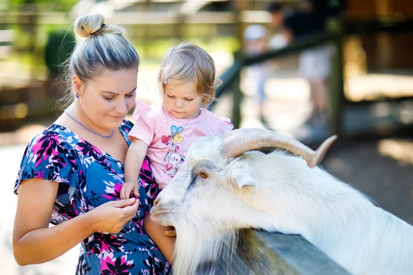 Adorável Bonito Menina Criança Jovem Mãe Alimentando Cabras Ovelhas Uma — Fotografia de Stock