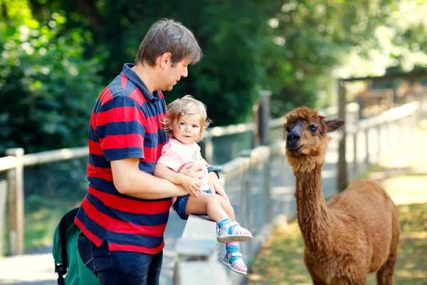 Adorable niña linda y joven padre alimentando lama en una granja de niños. Hermoso bebé acariciando animales en el zoológico. hombre e hija juntos —  Fotos de Stock