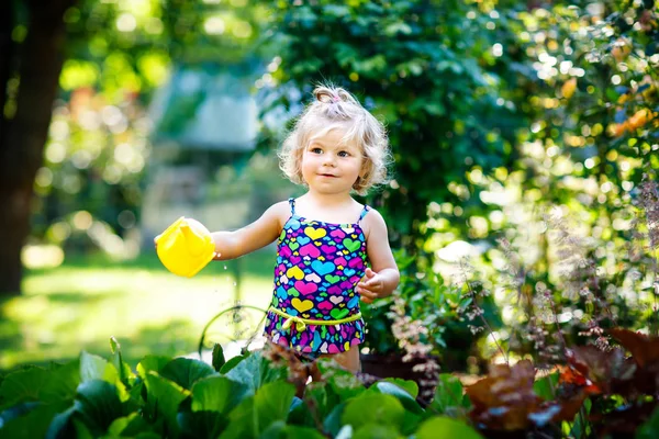 Cute little baby girl in colorful swimsuit watering plants and blossoming flowers in domestic garden on hot summer day. Adorable toddler child having fun with playing with water and can — Stock Photo, Image