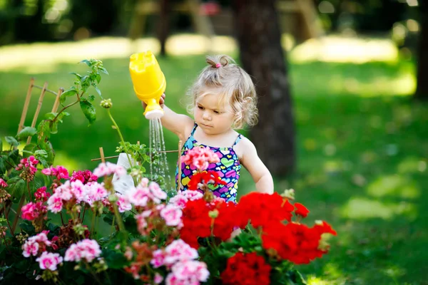 Bayi kecil yang lucu dengan pakaian renang berwarna-warni menyiram tanaman dan bunga mekar di kebun domestik pada hari musim panas. Anak balita yang manis bersenang-senang dengan bermain dengan air dan bisa — Stok Foto