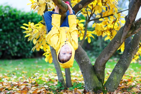 Niño pequeño en ropa colorida disfrutando de trepar en el árbol en — Foto de Stock