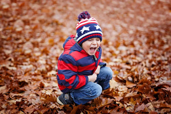 Симпатичный маленький мальчик на осеннем фоне листьев в парке. — стоковое фото