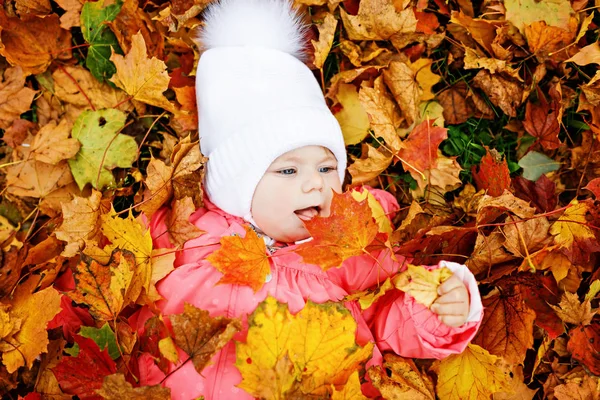 Adorable niña en el parque de otoño en el soleado día cálido de octubre con hoja de roble y arce —  Fotos de Stock