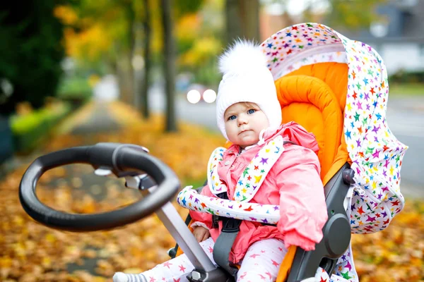 Милая маленькая красивая девочка сидит в коляске или коляске в осенний день — стоковое фото