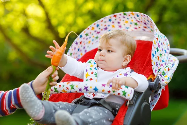 A kis szőke gyerek fiú sárgarépa adva a baba húga. Boldog testvérek, hogy egészséges snack. Kislány ül a babakocsit tolsz, vagy. — Stock Fotó