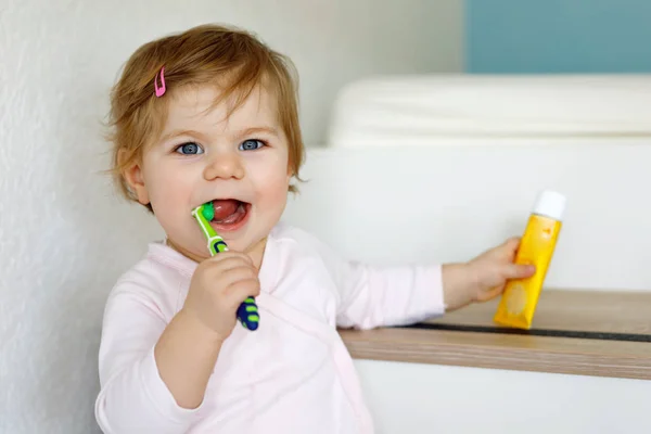Κοριτσάκι που κρατάει οδοντόβουρτσα και βουρτσίζει τα πρώτα δόντια. Παιδί μαθαίνουν να καθαρίζουν τα δόντια του γάλακτος. — Φωτογραφία Αρχείου