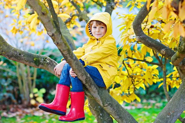 Cute little kid boy enjoying climbing on tree on autumn day. Preschool child in colorful autumnal clothes learning to climb, having fun in garden or park on warm sunny day — Stock Photo, Image