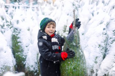 Gülen çocuk elinde Noel ağacı tutuyor. Kışın giyinmiş mutlu çocuk, karlı kış gününde kostüm dükkanında Noel ağacı seçiyor ve satın alıyor. Aile, gelenek, kutlama.