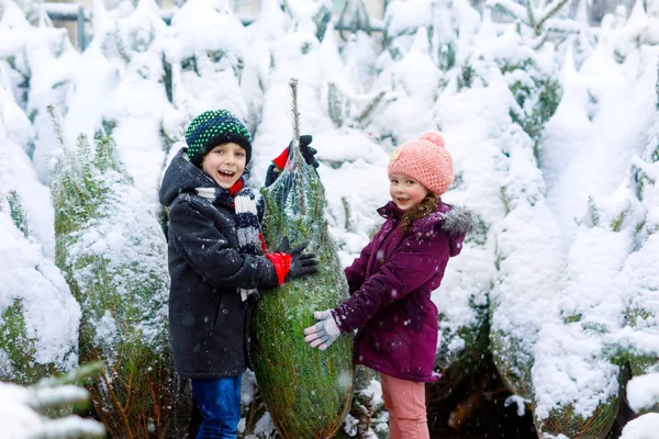 Two little siblings kid boy and girl holding christmas tree. Happy children in winter clothes choosing and buying xmas tree in outdoor shop. Family, tradition, celebration concept. — Stock Photo, Image