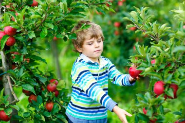 Sarı yağmur giyen küçük çocuk çocuk çizme ve yürüme ve içine atlama bahar günü sıcak güneşli puddle. Eğleniyor ve açık havada oyun renkli moda rahat yağmur giysileri mutlu çocuk.
