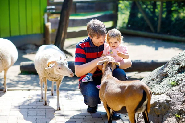 Śliczny maluch Ładna dziewczyna i młody ojciec karmienie małe kozy i owce w gospodarstwie dzieci. Piękne dziecko dziecko pieszczoty zwierząt w zoo. człowiek i córka razem — Zdjęcie stockowe