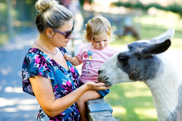 Adorable cute toddler girl and young mother feeding lama on a kids farm. Beautiful baby child petting animals in the zoo. woman and daughter together — Stock Photo, Image