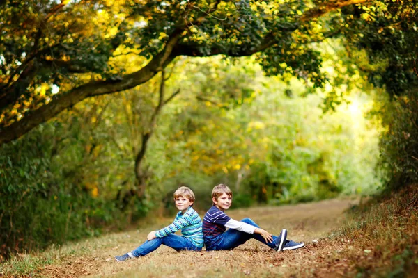 Porträt kleiner Schulkinder Jungen sitzen im Wald. fröhliche Kinder, beste Freunde und Geschwister, die sich an einem warmen, sonnigen Frühherbsttag vergnügen. Zwillinge und Familie, Natur und aktive Freizeit. — Stockfoto