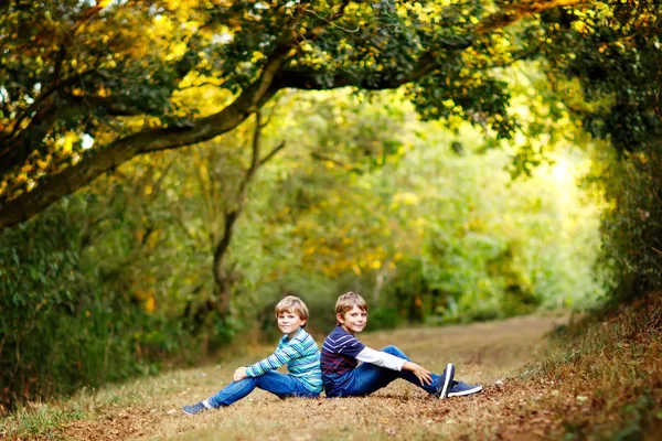 Portrait of little school kids boys sitting in forest. Happy children, best friends and siblings having fun on warm sunny day early autumn. Twins and family, nature and active leisure. — Stock Photo, Image