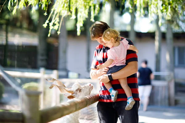 Adorable niña linda y padre joven alimentando cabras y ovejas en una granja de niños. Hermoso bebé acariciando animales en el zoológico. hombre e hija juntos —  Fotos de Stock