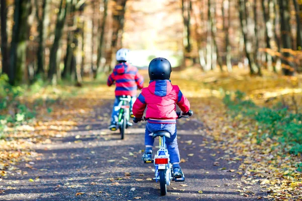 Two little kid boys in colorful warm clothes in autumn forest park driving bicycle. Active children cycling on sunny fall day in nature. Safety, sports, leisure with kids concept. Best friends having — Stock Photo, Image