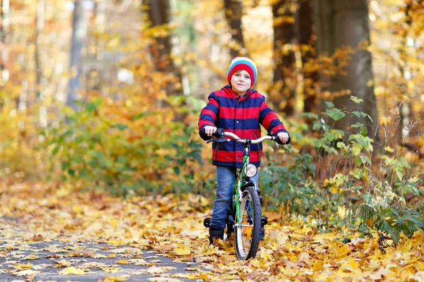 Little kid boy in colorful warm clothes in autumn forest park driving a bicycle. Active child cycling on sunny fall day in nature. Safety, sports, leisure with kids concept — Stock Photo, Image