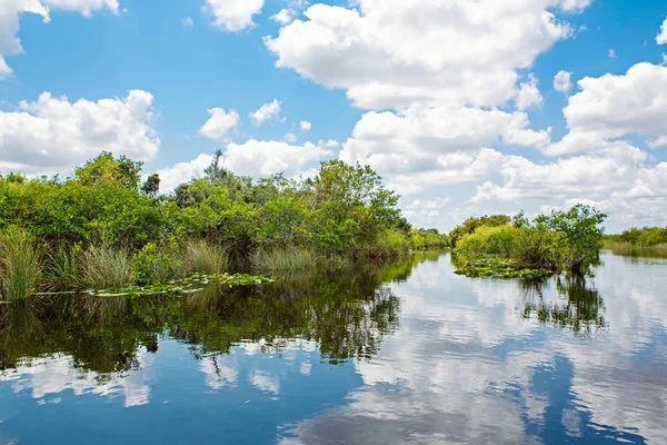 Florida wetland, Airboat ride at Everglades National Park in USA. Popular place for tourists, wild nature and animals