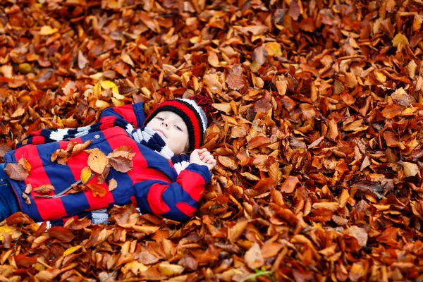 Portrait of happy cute little kid boy with autumn leaves background in colorful clothing. Funny child having fun in fall forest or park on cold day. With hat and scarf. — Stock Photo, Image