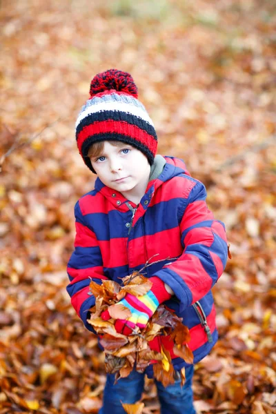 Portrait of happy cute little kid boy with autumn leaves background in colorful clothing. Funny child having fun in fall forest or park. Smiling child in fashion clothes playing with yellow maple leaf — Stock Photo, Image