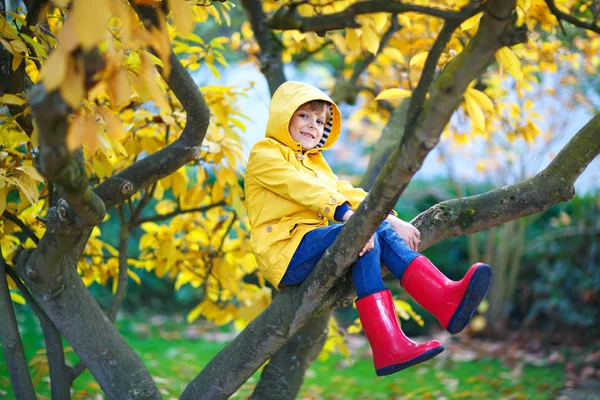 Słodki chłopiec cieszy się wspinaczką na drzewo w jesienny dzień. Dziecko w przedszkolu w kolorowych jesiennych ubraniach uczy się wspinaczki, zabawy w ogrodzie lub parku w ciepły słoneczny dzień — Zdjęcie stockowe