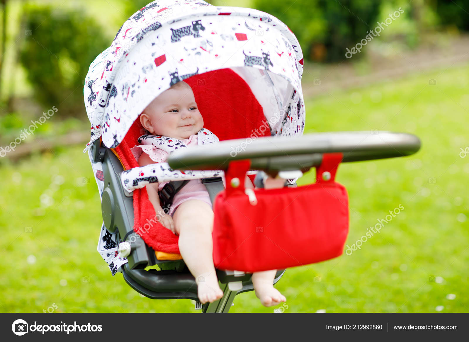 beautiful baby strollers