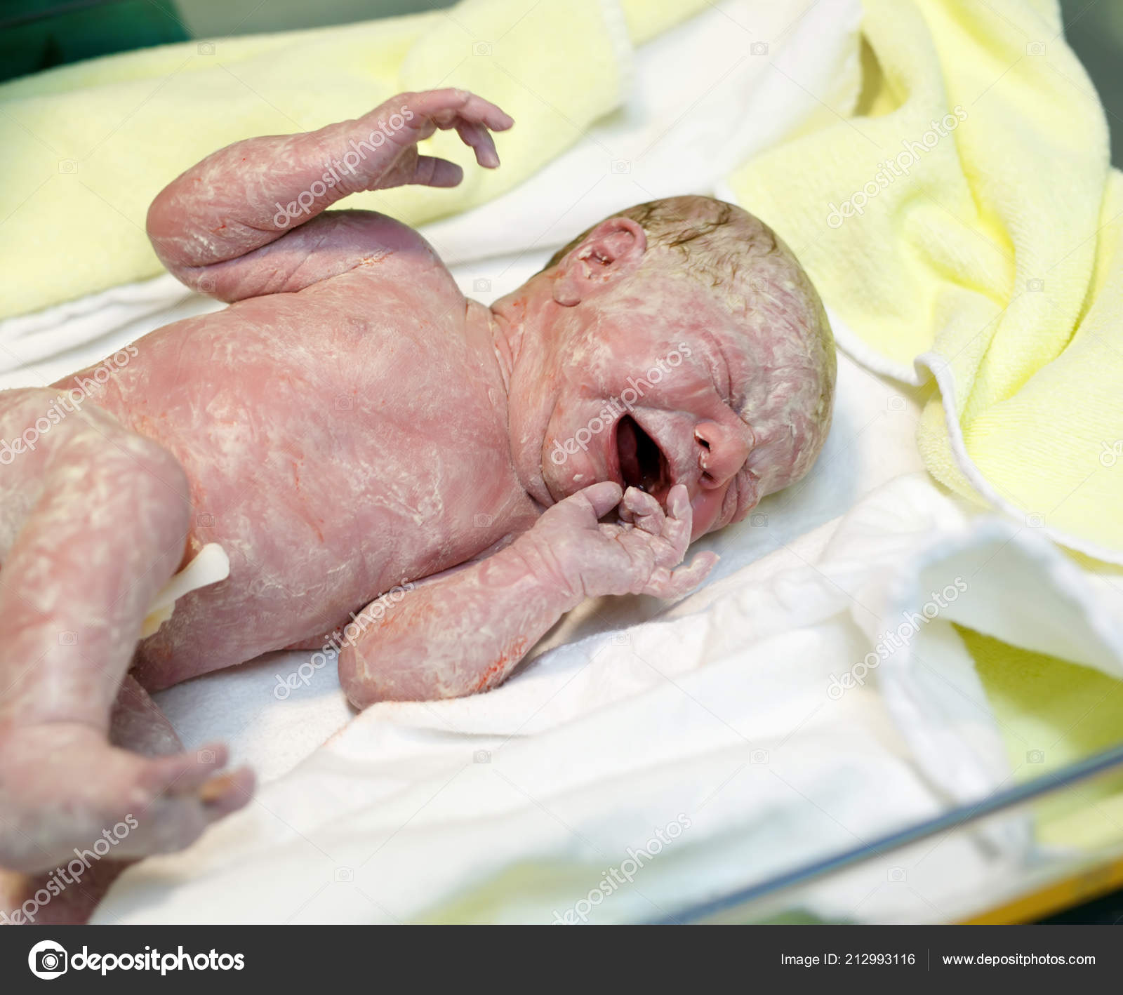 Newborn child seconds and minutes after birth. Cute tiny new born baby girl  on towel. New life, beginning, healthcare Stock Photo by ©romrodinka  212993116