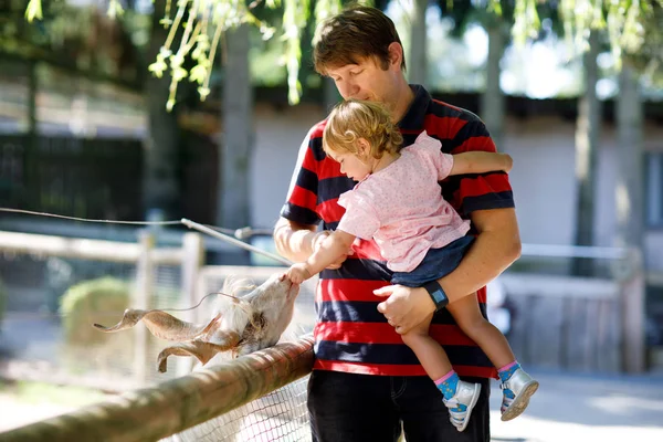 Adorable cute toddler girl and young father feeding little goats and sheeps on a kids farm. Beautiful baby child petting animals in the zoo. man and daughter together — Stock Photo, Image