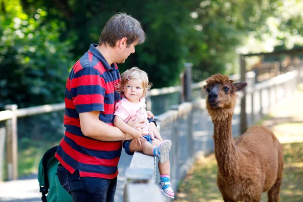 Adorable niña linda y joven padre alimentando lama en una granja de niños. Hermoso bebé acariciando animales en el zoológico. hombre e hija juntos — Foto de Stock