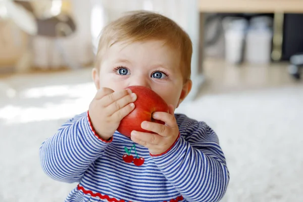 Büyük kırmızı elma yiyen küçük bebek kız. Vitamin ve küçük çocuklar için sağlıklı gıda. 6 ay güzel çocuk portresi — Stok fotoğraf