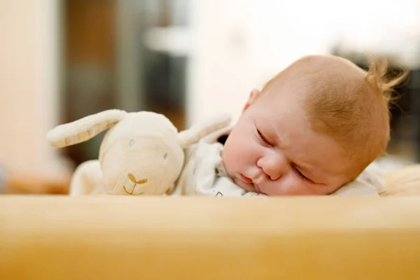 Dos Meses Fotos De Stock Imagenes De Dos Meses Libres De Derechos Depositphotos