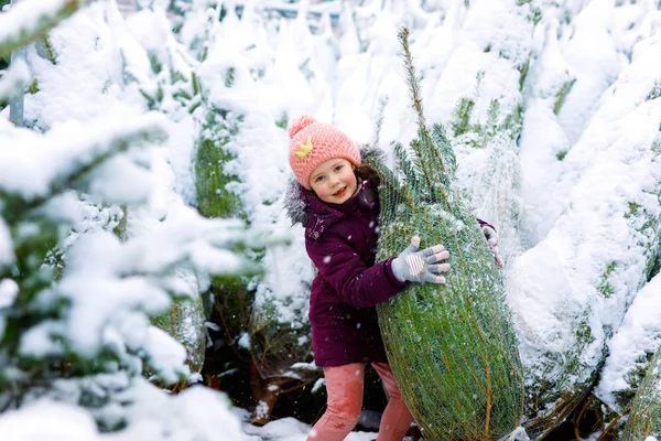 Милая маленькая улыбающаяся девочка делает покупки на рождественском рынке. Счастливый ребенок в зимней одежде, держащий и выбирающий xmas елку на xmas рынке с огнями на заднем плане в день зимнего снега. — стоковое фото