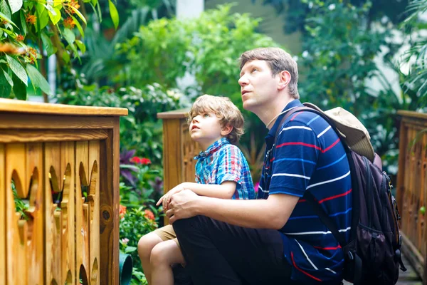 Pai e menino pré-escolar descobrindo flores, plantas e borboletas no jardim botânico. Família, jovem e filho interessados em biologia. Lazer educativo ativo ativo com criança pré-escolar em museu — Fotografia de Stock