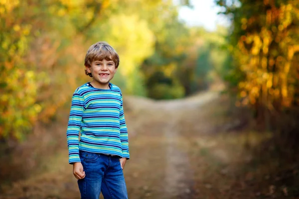 Porträtt av en liten cool pojke i skogen. Glad frisk barn att ha kul på varm solig dag tidig höst. Familj, natur, kärlek och aktiv fritid. — Stockfoto