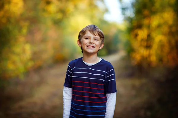 숲 속의 작고 쿨 한 소년의 모습. 행복 한 건강 한 아이는 이른 가을의 따뜻 한 날에 즐거운 시간을 보낸다. 가족, 자연, 사랑 및 활동적 인 여가 활동. — 스톡 사진