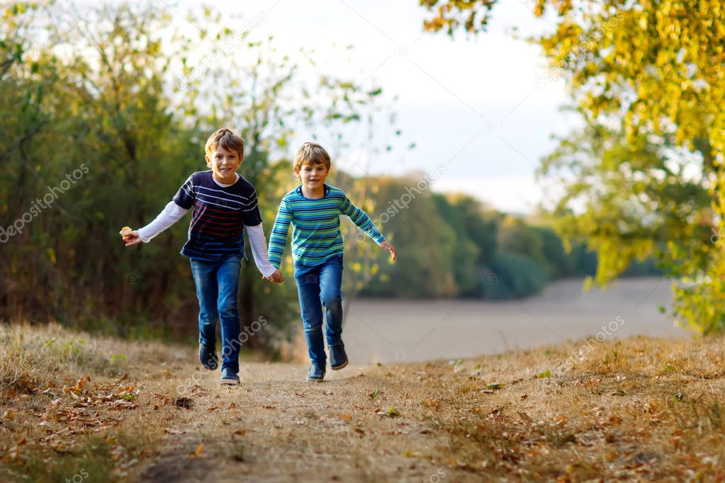 Two little school kids boys running and jumping in forest. Happy children, best friends and siblings having fun on warm sunny day early autumn. Twins and family, nature and active leisure.