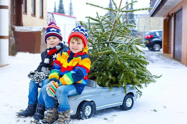 Zwei kleine Jungen fahren Spielzeugauto mit Weihnachtsbaum — Stockfoto