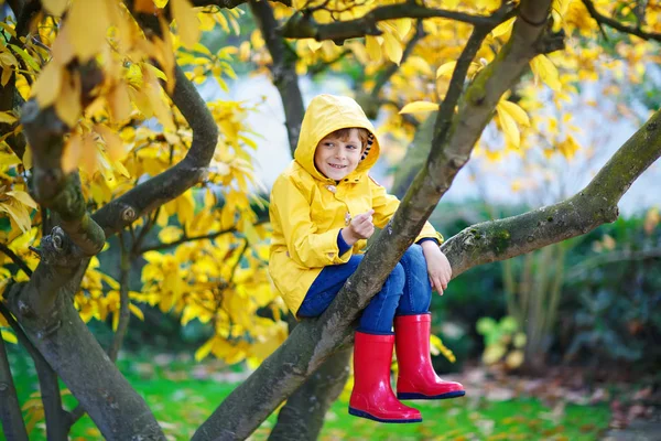 Little kid boy in colorful clothes enjoying climbing on tree on — Stock Photo, Image